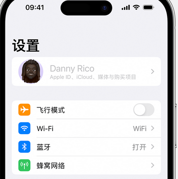 成安appleID维修服务iPhone设置中Apple ID显示为灰色无法使用 