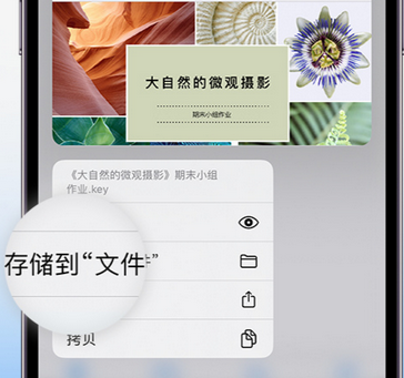 成安apple维修中心分享iPhone文件应用中存储和找到下载文件