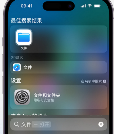 成安apple维修中心分享iPhone文件应用中存储和找到下载文件