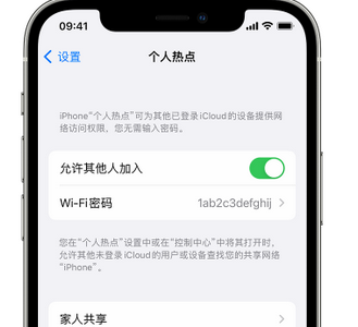 成安apple服务站点分享iPhone上个人热点丢失了怎么办