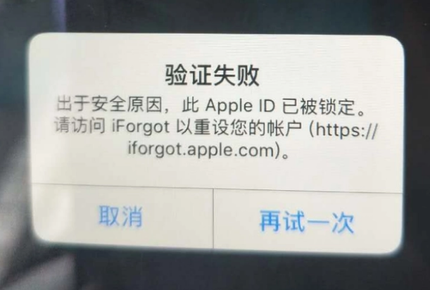 成安iPhone维修分享iPhone上正常登录或使用AppleID怎么办 