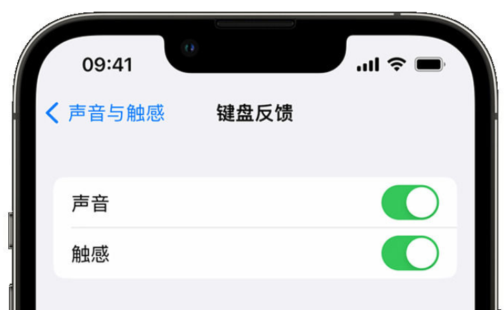 成安苹果手机维修分享iPhone 14触感键盘使用方法 