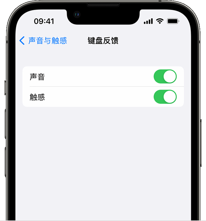 成安苹果14维修店分享如何在 iPhone 14 机型中使用触感键盘 