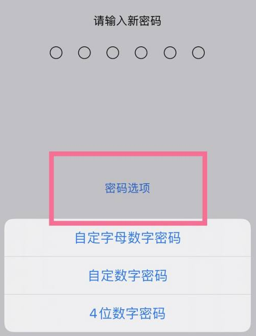 成安苹果14维修分享iPhone 14plus设置密码的方法 