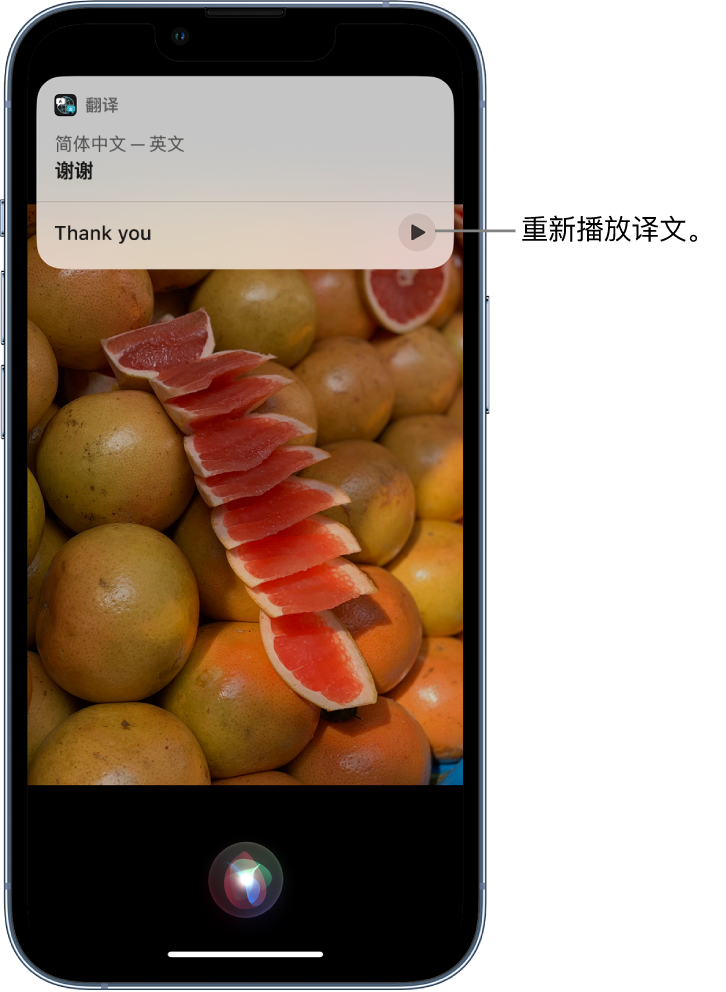 成安苹果14维修分享 iPhone 14 机型中使用 Siri：了解 Siri 能帮你做什么 