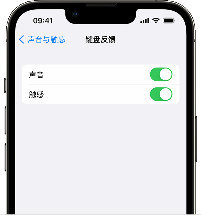 成安苹果14维修分享iPhone 14 系列机型如何开启键盘声音或触感反馈 