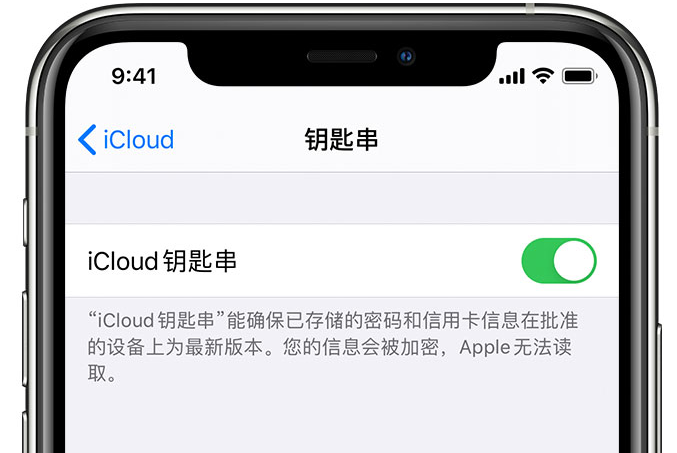 成安苹果手机维修分享在 iPhone 上开启 iCloud 钥匙串之后会储存哪些信息 