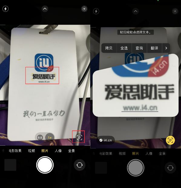 成安苹果手机维修分享升级iOS 16后如何通过相机翻译文本 