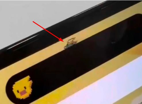 成安苹果14维修分享iPhone 14 Pro Max灵动岛怎么养宠物 