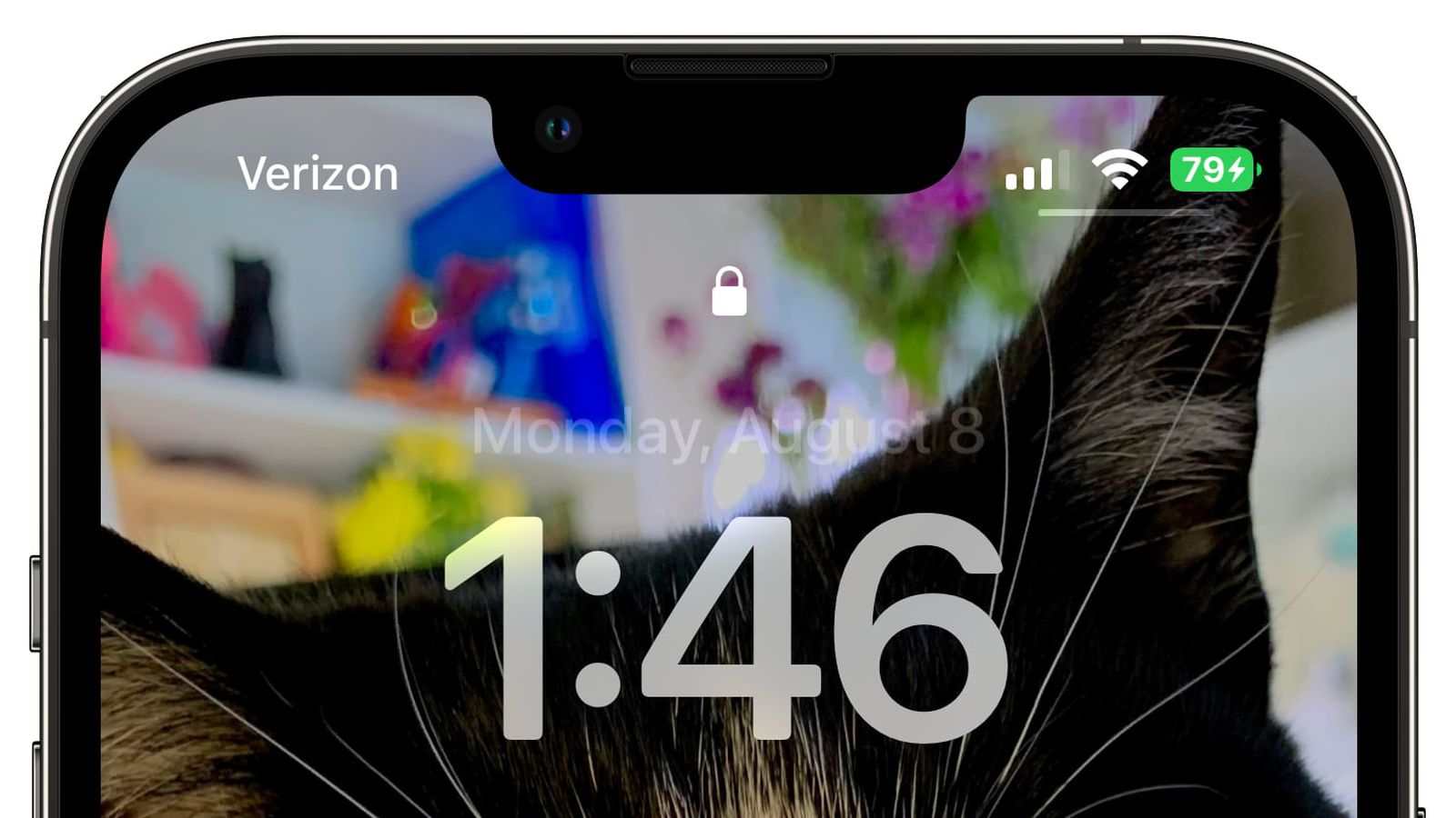 成安苹果手机维修分享iOS 16 beta 5 支持状态栏显示电池百分比，如何开启？支持哪些机型 