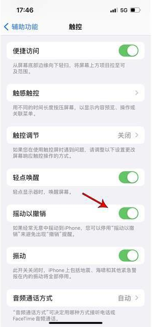 成安苹果手机维修分享iPhone手机如何设置摇一摇删除文字 