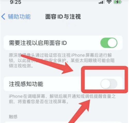 成安苹果13维修分享为什么iPhone 13来电铃声忽大忽小 