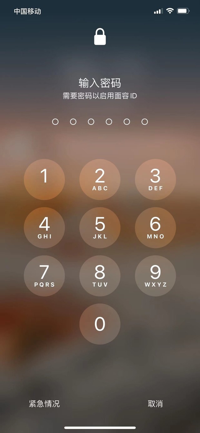 成安苹果13维修分享iPhone 13加强锁屏功能有什么用 