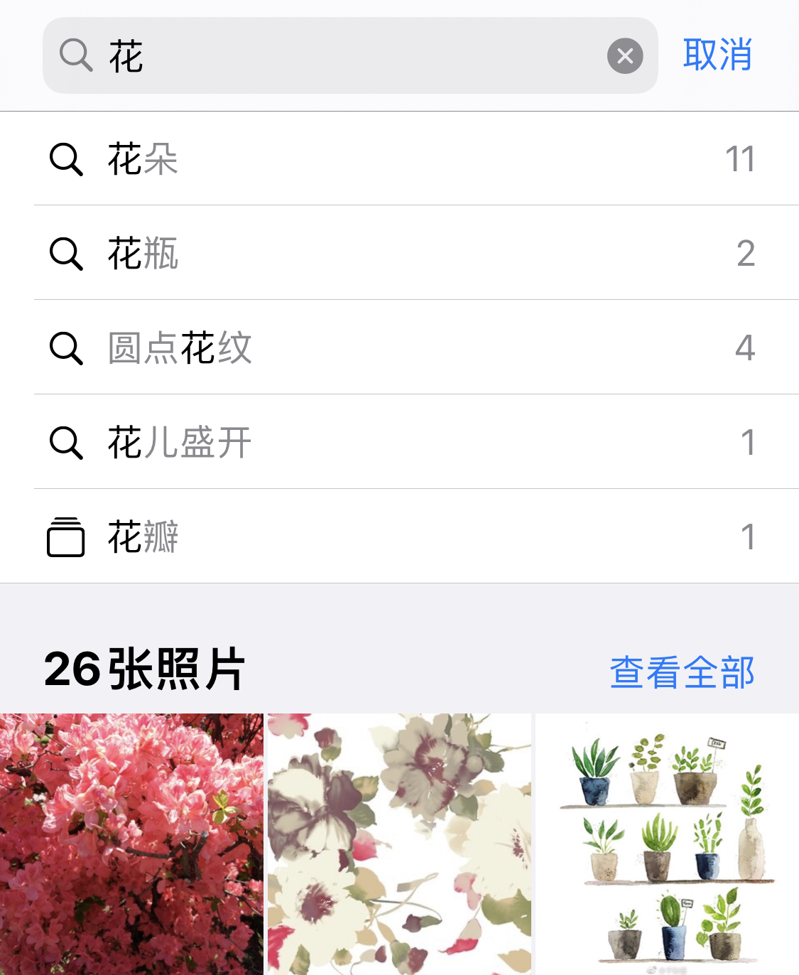 成安苹果手机维修分享iPhone 小技巧 