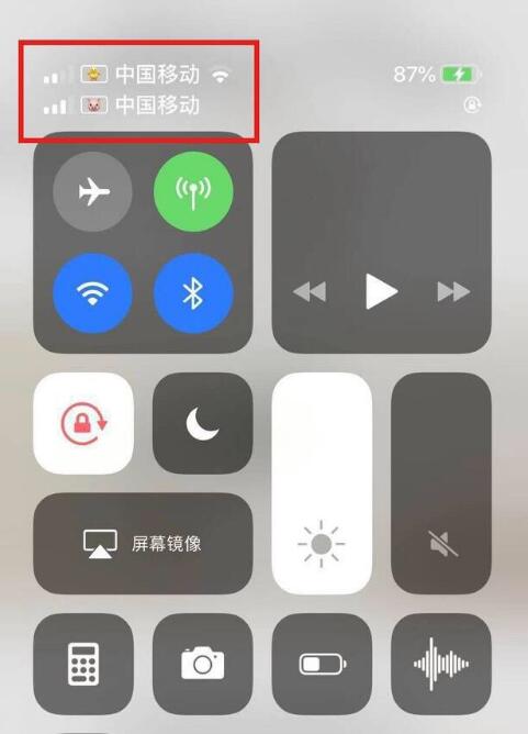 成安苹果手机维修分享为 iPhone 12 双卡设置标签 