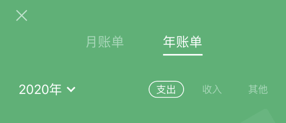成安苹果手机维修分享如何在 iPhone 上查看支付宝和微信年支出账单 